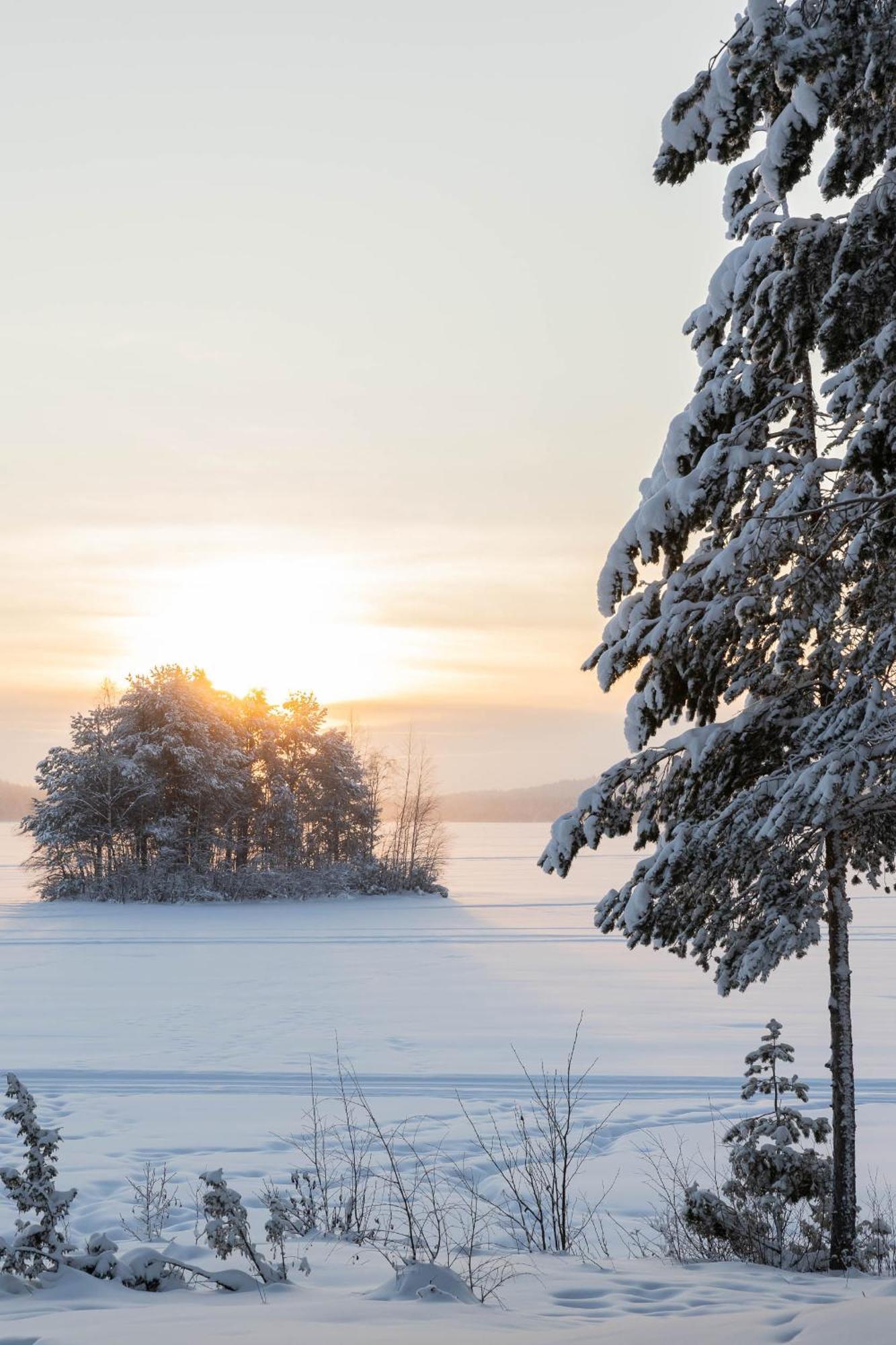 Lapland Arctic Cabins Kemijärvi Eksteriør billede