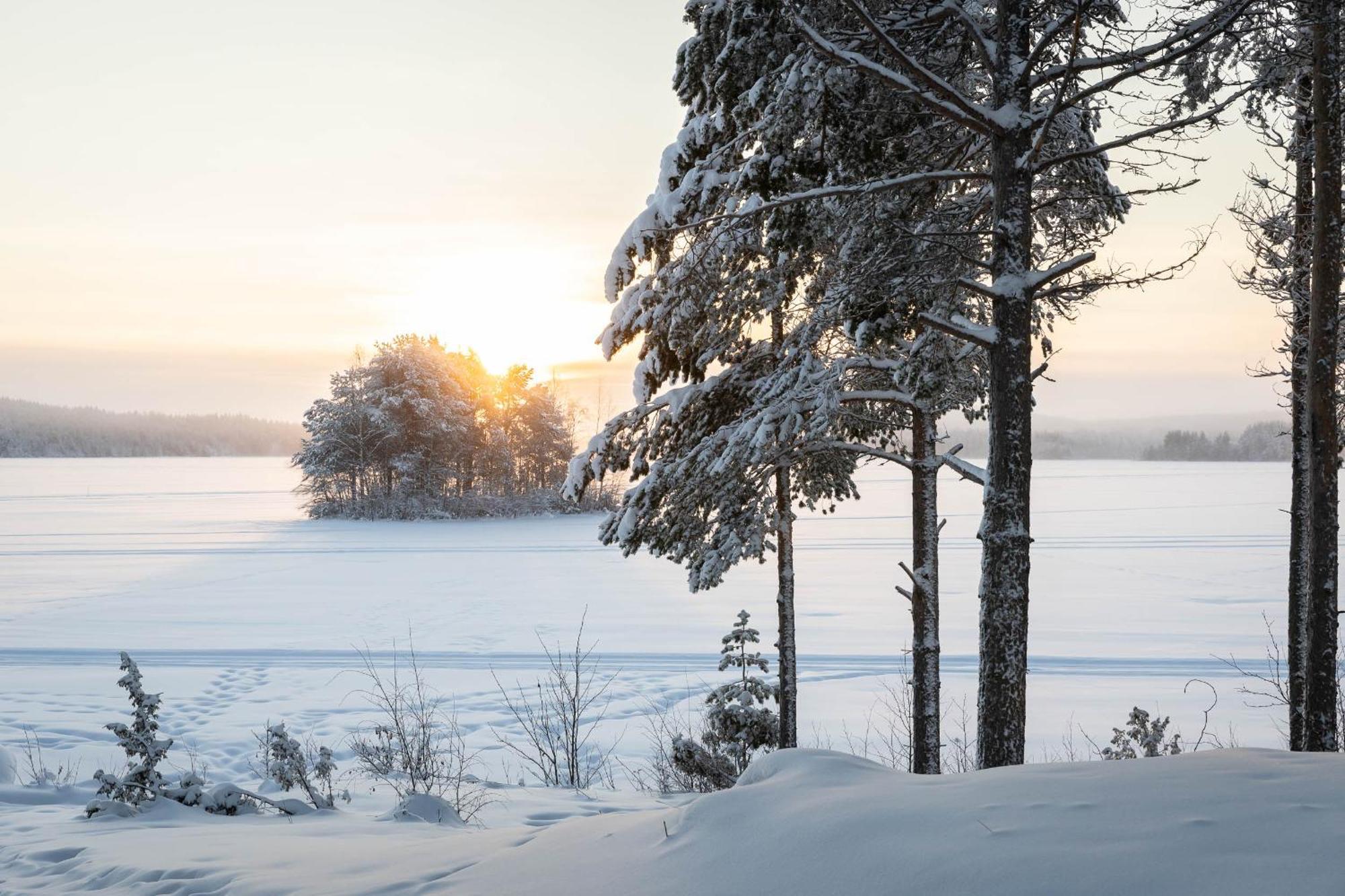 Lapland Arctic Cabins Kemijärvi Eksteriør billede