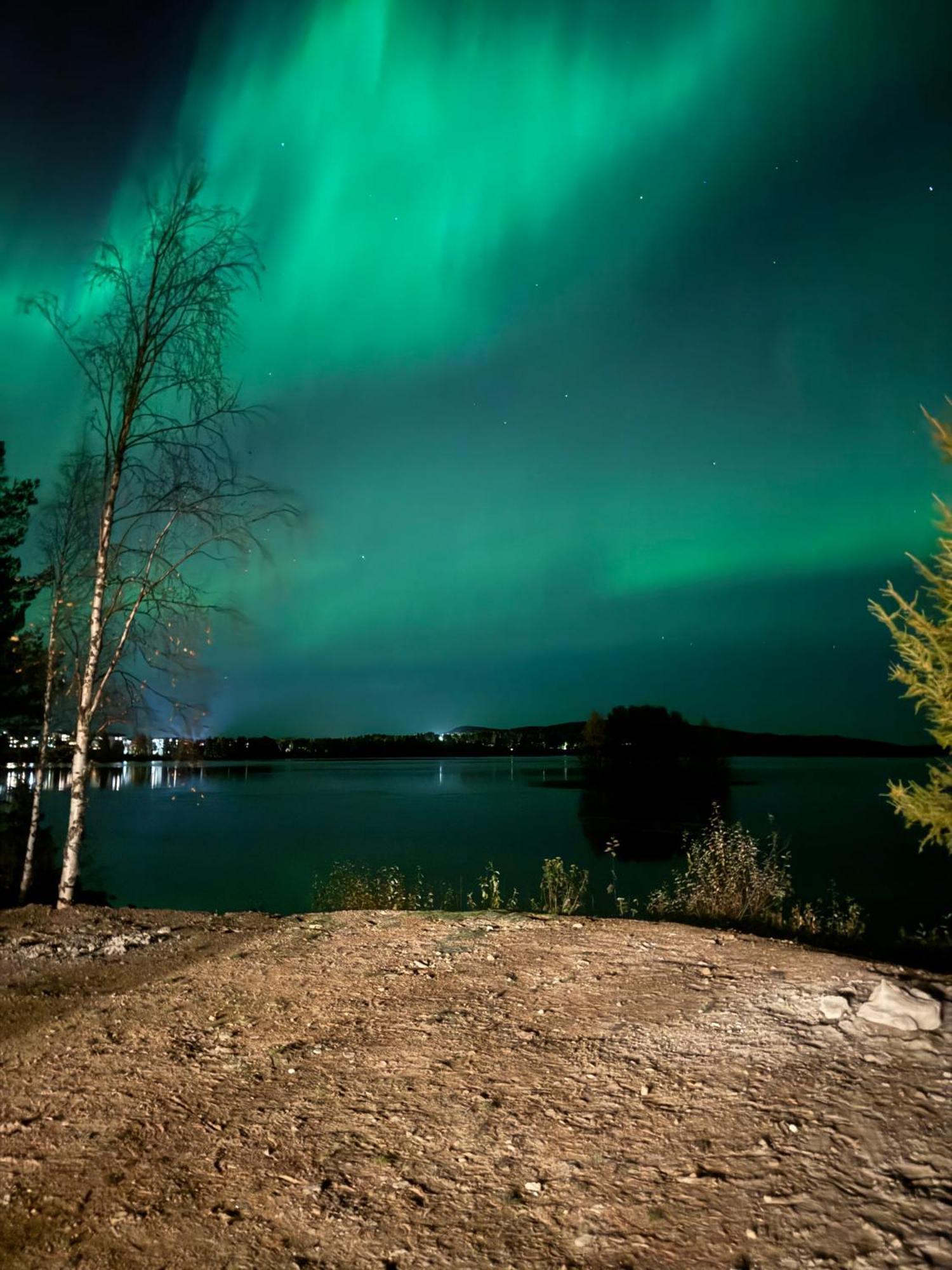 Lapland Arctic Cabins Kemijärvi Eksteriør billede