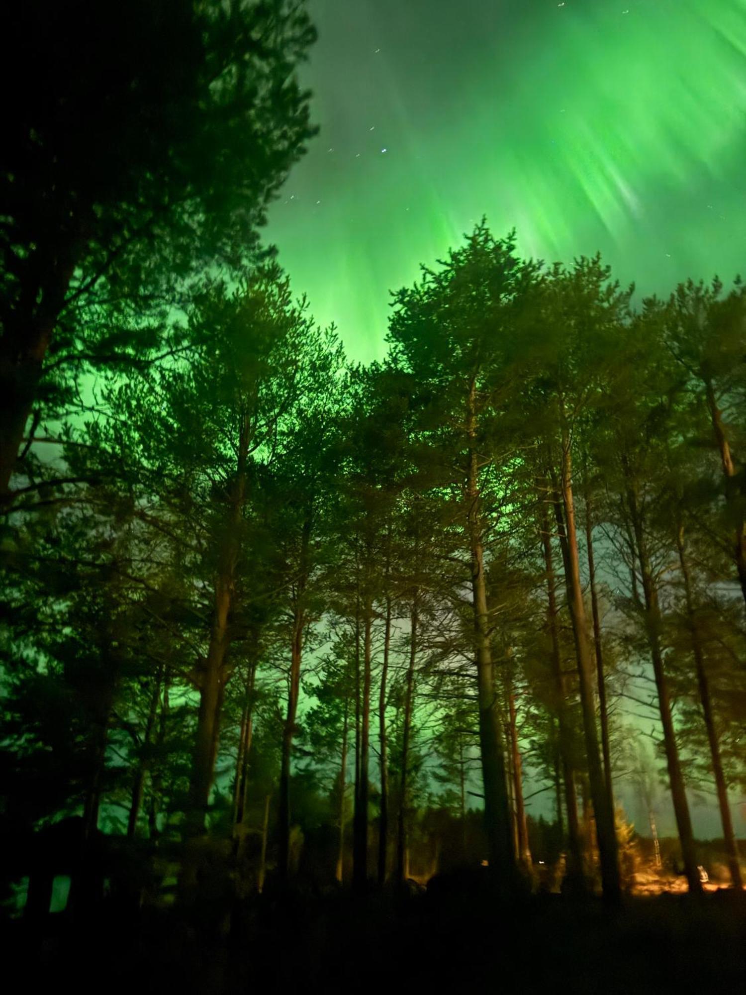 Lapland Arctic Cabins Kemijärvi Eksteriør billede